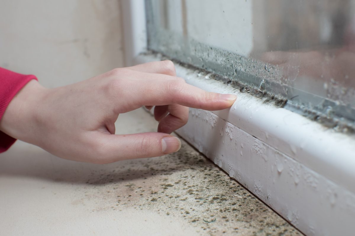 reduce condensation windows